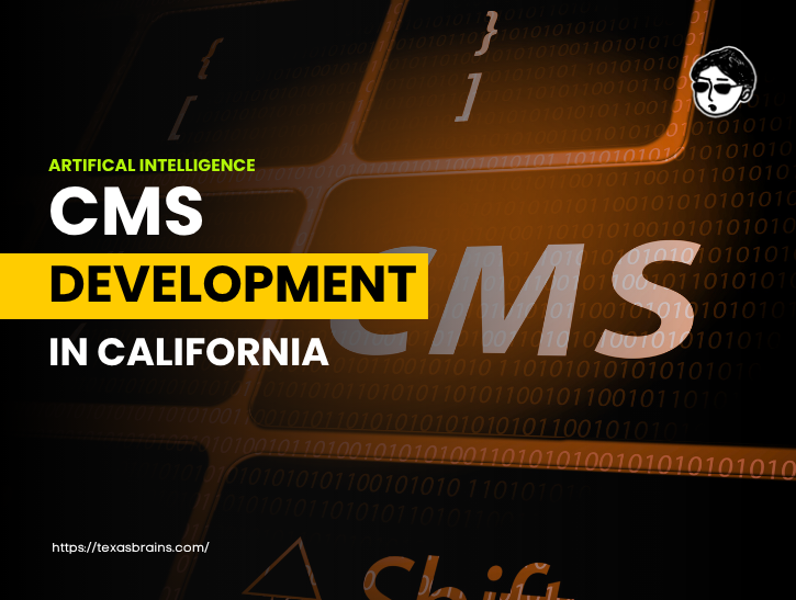 ai-cms-development-california