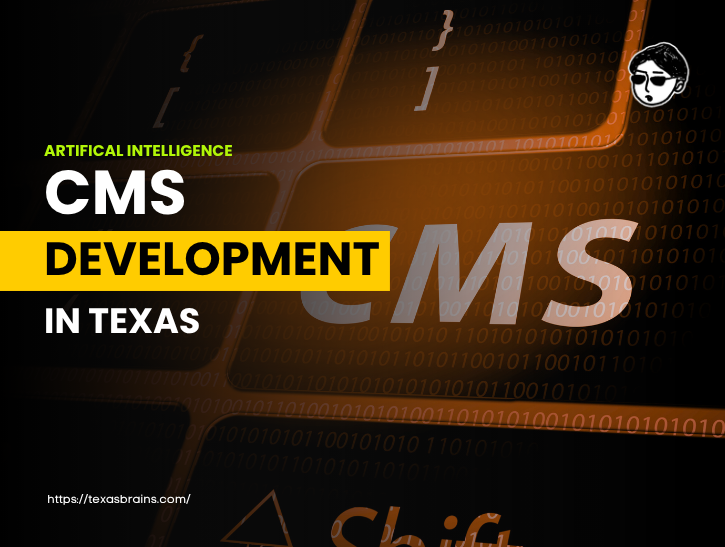 ai-cms-development-texas